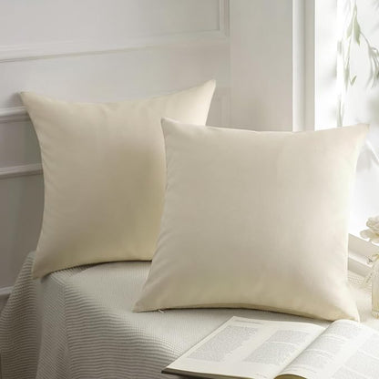 Phantoscope Pack of 2 Velvet Decorative Throw Decorative Pillow Cover Soft Solid Square Cushion Case for Couch, Off White, 20 x 20 inches 50 x 50 cm