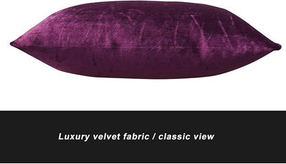 Purple Velvet Decorative Throw Pillow Covers for Sofa Bed 2 Pack Soft Cushion Cover