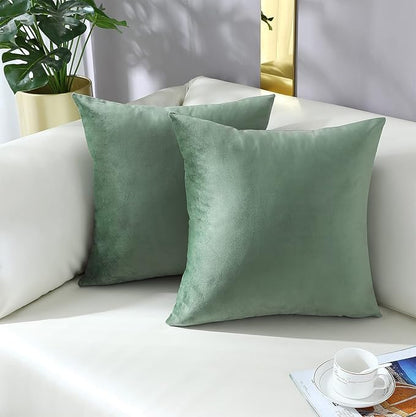 mixeoo Comfy Sage Green Throw Pillow Covers Decorative Square Solid Thick Velvet Super Soft Couch Cushion Cases for Bedroom Sofa Decor, Set of 2, 16 x 16 Inch