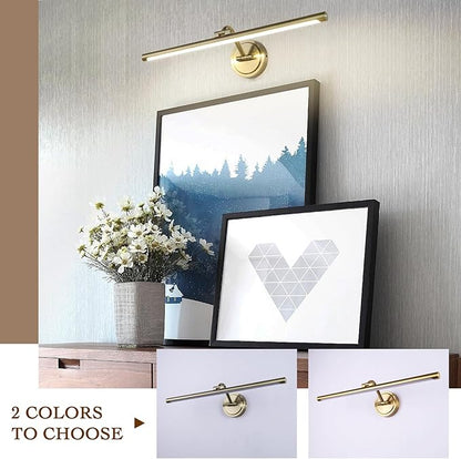 Hard-Wired Picture Lights 23.6 Inch Dimmable LED Wall Art Lighting Modern Gallery Light Poster Lights Adjustable Swing Arm Picture Frame Light for Display Art Work,14W,2700K, Warm White Antique Bronze