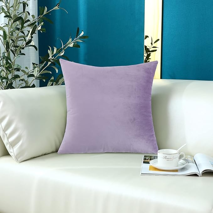 mixeoo Comfy Lavender Throw Pillow Covers Decorative Square Solid Thick Velvet Super Soft Cushion Cases Home Decor for Sofa Couch Living Room Chair, Set of 1, 24 x 24 Inch