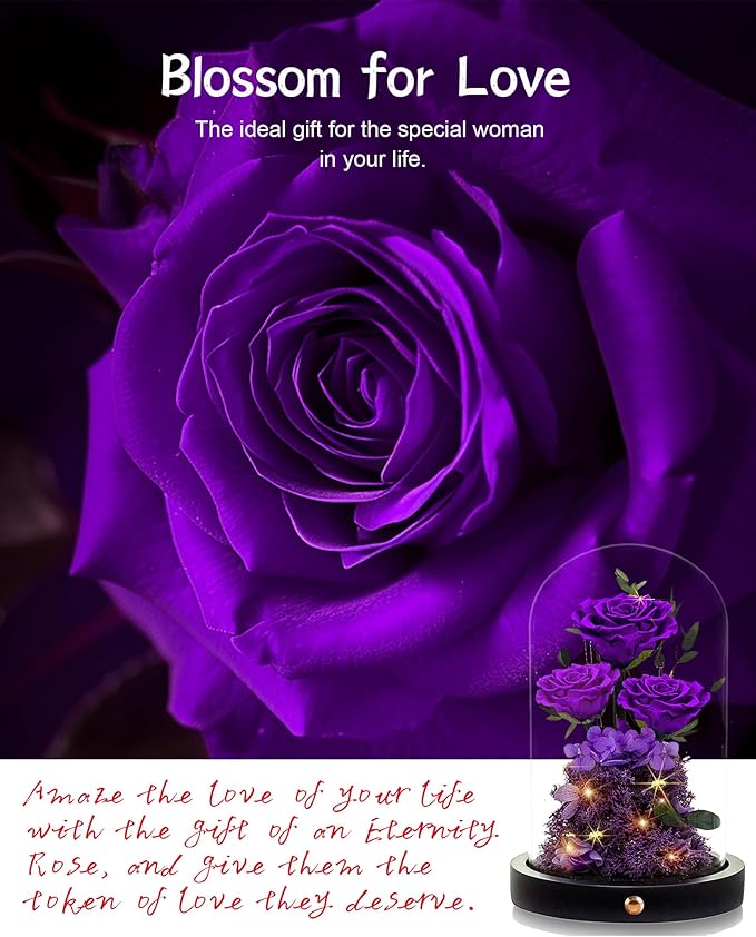 Valentines Day Flowers Roses Gifts for Her,Forever Real Preserved Roses in Glass Dome,Valentines Day Anniversary Birthday Gifts for Wife Girlfriend Women Mom Best Friend Her/Purple Rose