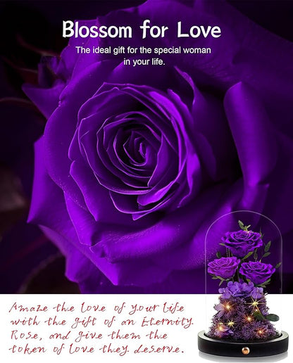 Valentines Day Flowers Roses Gifts for Her,Forever Real Preserved Roses in Glass Dome,Valentines Day Anniversary Birthday Gifts for Wife Girlfriend Women Mom Best Friend Her/Purple Rose