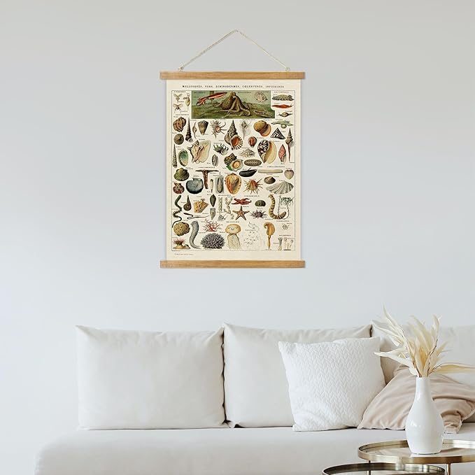 ABoby Vintage Hanging Posters, Decorative Shellfish Wall Art Prints, Printed on Linen with Wood Frames, Ready to Hang