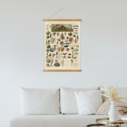 ABoby Vintage Hanging Posters, Decorative Shellfish Wall Art Prints, Printed on Linen with Wood Frames, Ready to Hang
