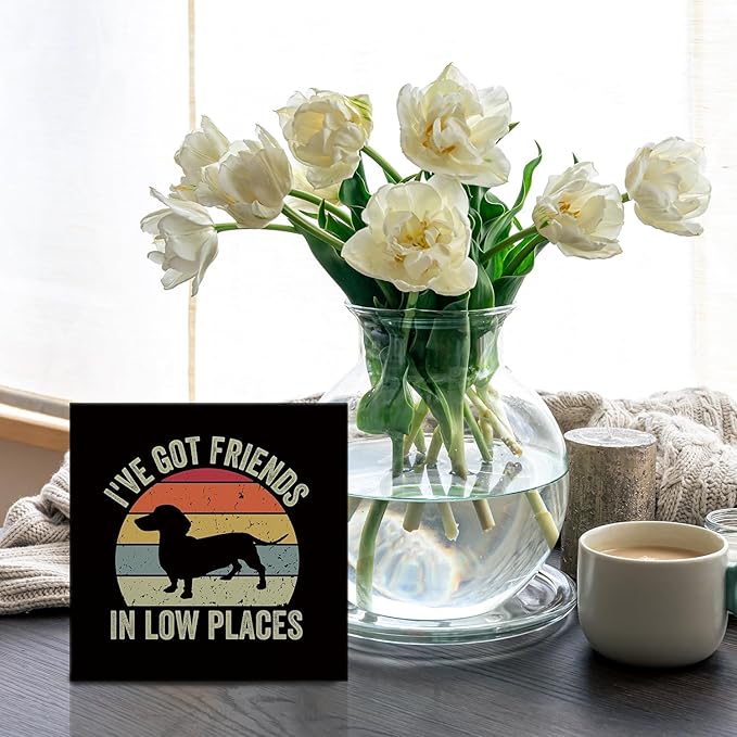 I've Got Friends in Low Places Funny Dachshund Signs - Dachshund Desk Decor, Dachshund Signs for Home Decor, Wiener Dog Decor, Dachshund Gifts for Women, 5X5