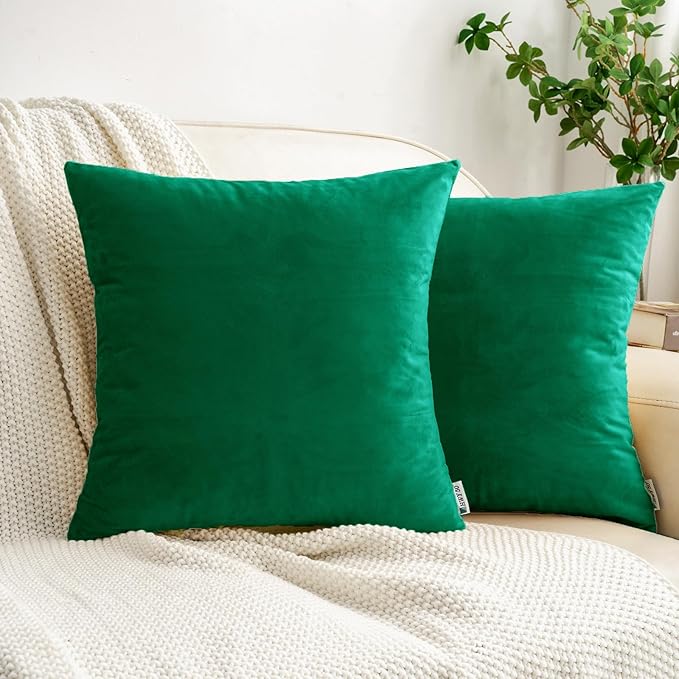 HWY 50 Dark Green Velvet Throw Pillow Covers 16x16 Inch, Pack of 2 Soft Cozy Solid Decorative Luxury Cushion Cases for Couch Sofa Bed Living Room Bedroom
