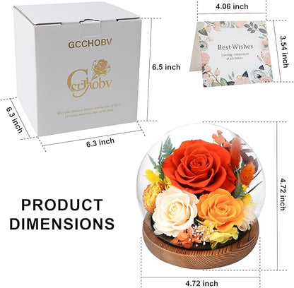 Preserved Flowers In Glass Dome, Eternal Flowers, Forever Flower, Birthday Gifts for Women, Gifts for Mom Girlfriend Her Friendship, Home Decor Bedroom Living Room (Terracotta)
