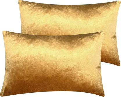 2 Pack 12x20 Pillow Cover Velvet Pillow Covers, Square Throw Pillow Covers for Living Room Decorations Throw Pillow Case, Throw Pillow Cover Cushion Cover for Home Sofa Bedroom Car, Golden