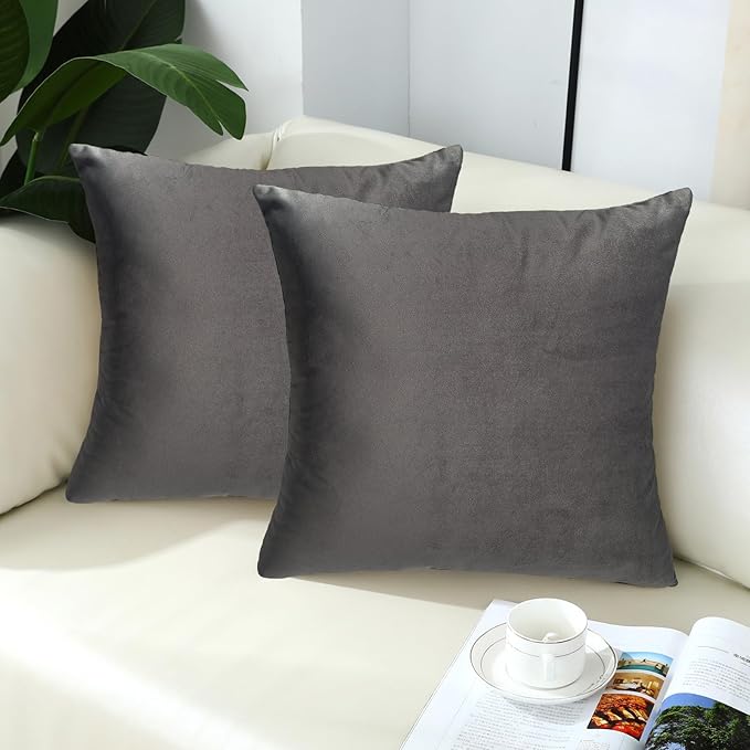 mixeoo Dark Grey Comfy Couch Throw Pillow Covers Decorative Velvet Square Cushion Cases for Livingroom Sofa Decor, Set of 2,18 x 18 Inches