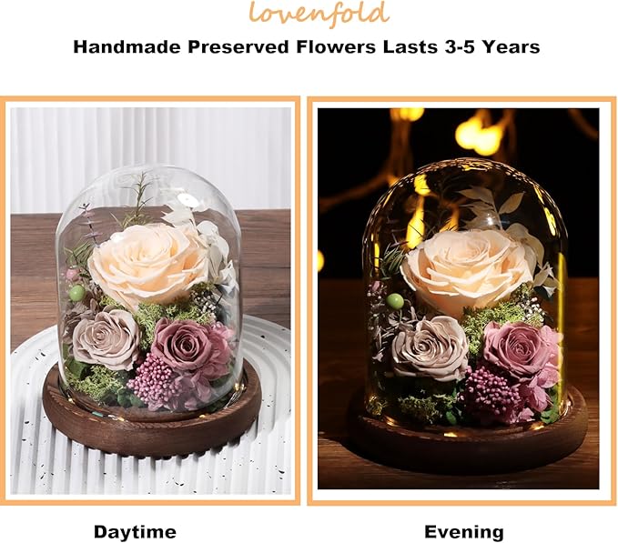 Lovenfold Flowers for Delivery Preserved Rose Gifts for Her,Forever Roses Flowers in Glass Dome,Birthday Gifts for Women Mom Wife Friend(Champagne Rose)