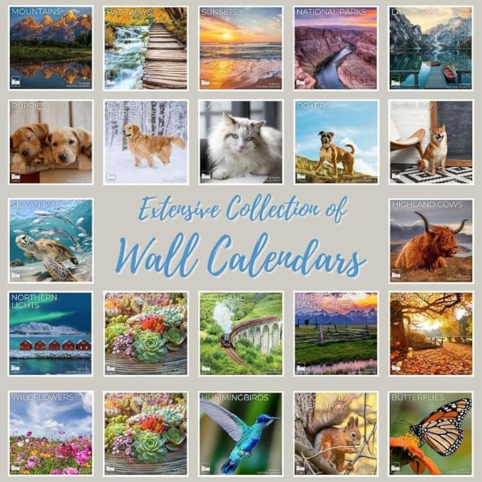 Butterflies Wall Calendar 2026 | 12" x 24" Open | Giftable Nature Calendar 2026 | Thick & Sturdy Paper for Organizing & Planning | Pacific Waters Press (Butterflies)