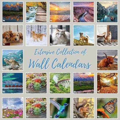 2026 Seasons Wall Calendar | 12" x 24" Open | Giftable Nature Calendar 2026 | Thick & Sturdy Paper for Organizing & Planning | Pacific Waters Press (Seasons)