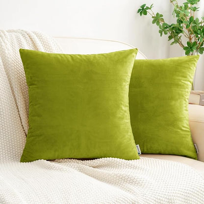 HWY 50 Leaf Green Velvet Throw Pillow Covers 18x18 Inch, Pack of 2 Soft Cozy Solid Decorative Luxury Cushion Cases for Couch Sofa Bed Living Room Bedroom