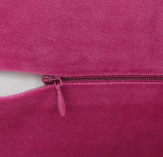 Jeneoo Set of 2 Comfy Soft Velvet Lumbar Throw Pillow Cases for Sofa Couch, Decorative Solid Rectangle Cushion Covers for Bedroom Car (12 x 20 Inches, Hot Pink)