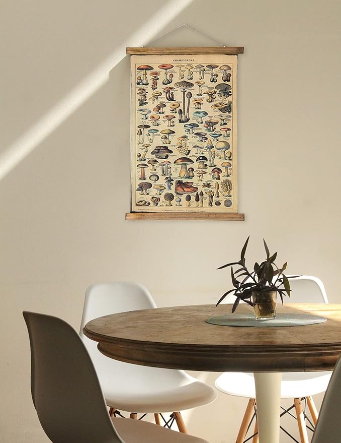 ABoby Vintage Hanging Posters, Decorative Mushroom Wall Art Prints, Printed on Linen with Wood Frames, Ready to Hang