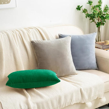 HWY 50 Dark Green Velvet Throw Pillow Covers 18x18 Inch, Pack of 2 Soft Cozy Solid Decorative Luxury Cushion Cases for Couch Sofa Bed Living Room Bedroom