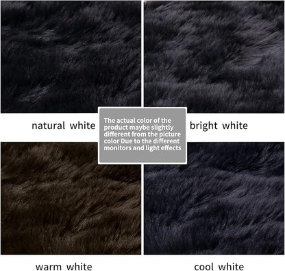 Ciicool Black Fur Fluffy Rug, 2x4 ft Small Faux Fur Rug for Bedroom, Washable Faux Sheepskin Rugs for Sofa Couch Seat Cushion, Thick Shaggy Furry Floor Carpets for Bedside Living Room