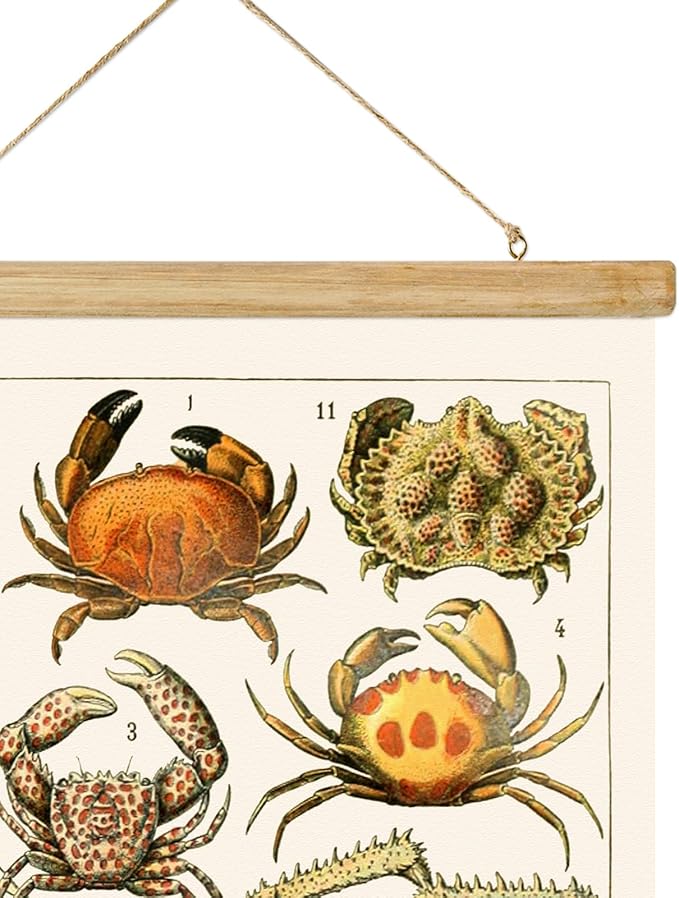 ABoby Vintage Hanging Posters, Decorative Crustaces Wall Art Prints, Printed on Linen with Wood Frames, Ready to Hang
