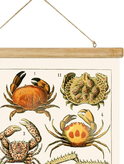 ABoby Vintage Hanging Posters, Decorative Crustaces Wall Art Prints, Printed on Linen with Wood Frames, Ready to Hang