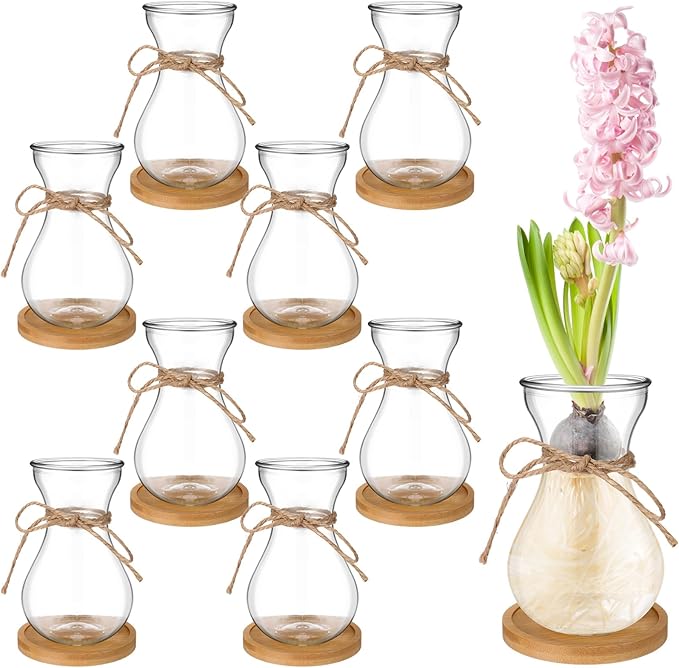 Bulb Glass Vases for Flowers Forcing Hyacinth Clear Decorative Bulb Vase with Round Bamboo Coaster for Home Office Table Decoration(8 Pcs)