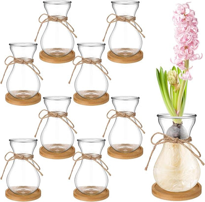 Bulb Glass Vases for Flowers Forcing Hyacinth Clear Decorative Bulb Vase with Round Bamboo Coaster for Home Office Table Decoration(8 Pcs)