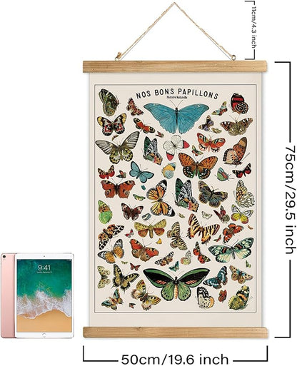XIAOAIKA Vintage Butterfly Species Poster - Illustrated Educational Chart with Wooden Frame - Entomology Wall Art for Nature Lovers, Classrooms, and Home Decor 20 x 30 Inches