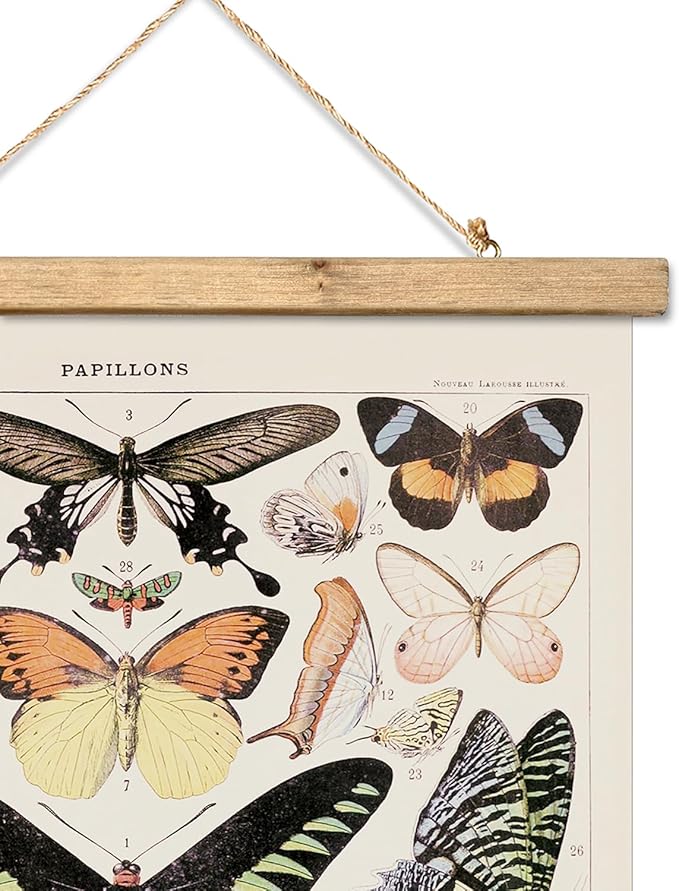 XIAOAIKA Vintage Butterfly Poster Hanger Frame, Cottagecore Room Decor Aesthetic, Retro Style Wall Decor Art Painting, Patterns are Printed on Linen Without Fading (16 x 23 inches)