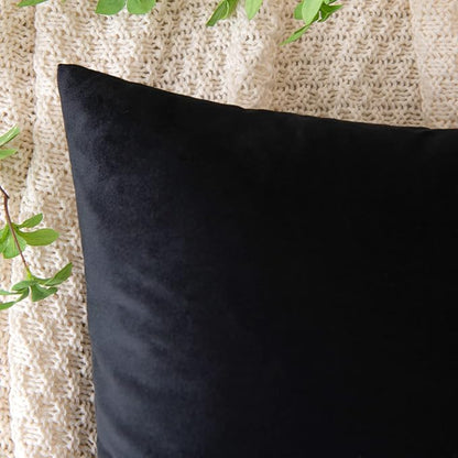 EMEMA Pack of 2 Velvet Throw Pillow Covers Decorative Square Pillowcase Soft Solid Cushion Case for Sofa Bedroom Chair Car 20x20 Inch Black