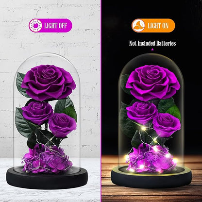 3 Preserved Flowers Roses in Glass Dome with Light for Beauty and The Beast Decor Real Rosas Eternas for Women Mom Birthday,Forever Purple Roses for Delivery, for Wife Girlfriend Her