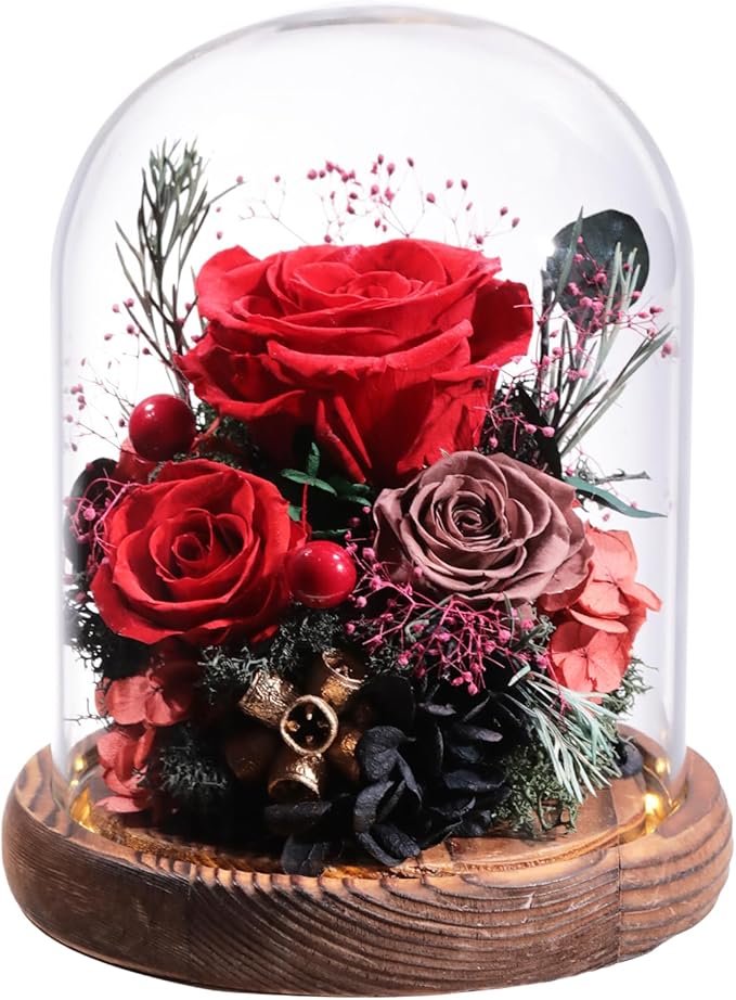 Lovenfold Flowers for Delivery Preserved Rose Gifts for Her,Long-Lasting Forever Flowers in Glass Dome,Birthday Gifts for Women Mom Wife Friend(Red Rose)
