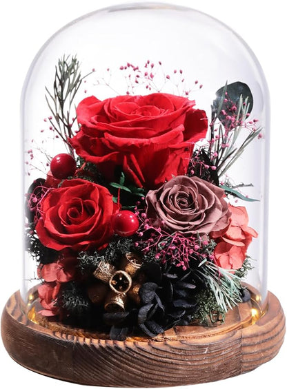 Lovenfold Flowers for Delivery Preserved Rose Gifts for Her,Long-Lasting Forever Flowers in Glass Dome,Birthday Gifts for Women Mom Wife Friend(Red Rose)