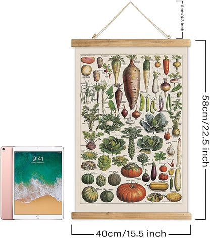 XIAOAIKA Vintage Vegetable Varieties Poster - Illustrated Garden Produce Chart with Wooden Frame - Educational Kitchen Wall Decor Art for Home Chefs and Gardeners 16 x 23 inches