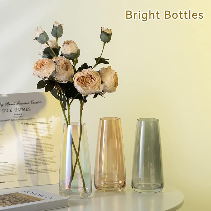 Ekirlin Modern Glass Vase, 8.7 inch Irised Crystal Clear Glass Vase, Thickened Hand Blow Flower Vase Round Bottles for Home Decor, Bookshelf, Room, Office Decor (Crystal Amber)