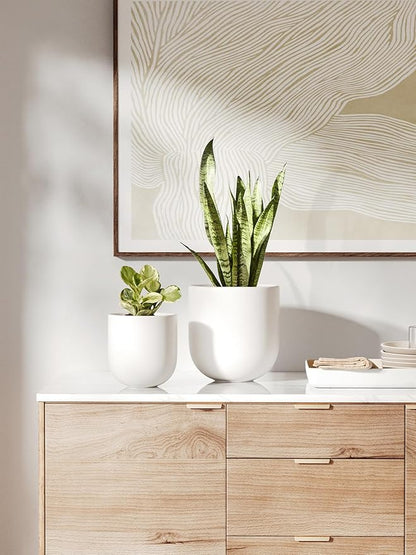 LE TAUCI 8 Inch Plant Pot, Ceramic Pot with Drainage Hole & Rubber Plug, Indoor Planter for Herbs & Small Houseplants, Cylinder Planter for Home Office, White
