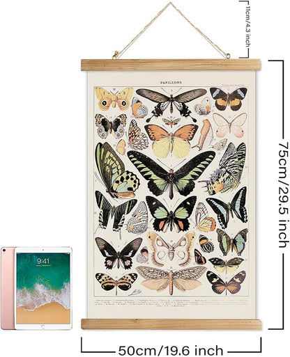 XIAOAIKA Vintage Butterfly Hanging Poster with Wooden Frame, Retro Style Wall Decor Art Painting, Patterns Printed on Linen Without Fading, Ready to Hang (20 x 30)
