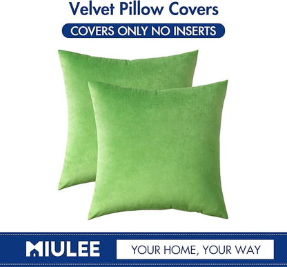 MIULEE Velvet Throw Pillow Covers 18x18 Inch, Pack of 2 - Lime Green, Soft Solid Decorative Pillow Covers Cushion Cases Modern Luxury Home Decor for Spring Couch Sofa Bedroom Livingroom