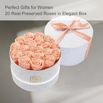 Gifts for Women Preserved Roses Flower Box, Luxury Velvet Box with 20 Roses, Preserved Flowers, Romantic Gift for Her, Wife, Girlfriend, Birthday Anniversary Christmas (Peach Pink)