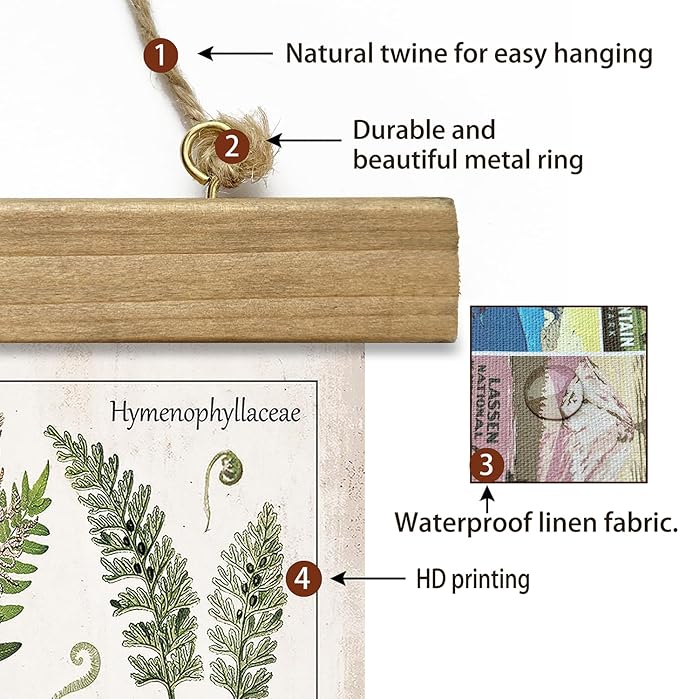 XIAOAIKA Botanical Fern Varieties Poster - Vintage Illustrated Guide with Wooden Frame - Educational Plant Wall Art for Home, Office, or Classroom Decor 20 x 30 Inches