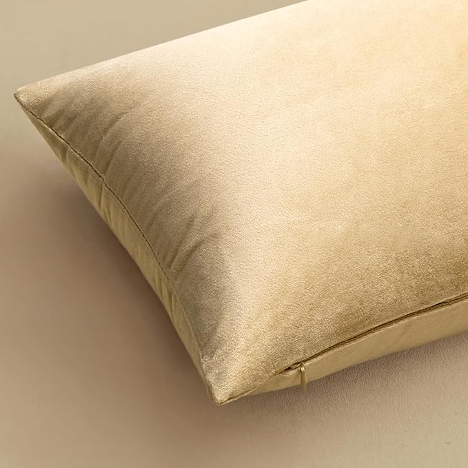 MIULEE Velvet Throw Pillow Covers 20x20 Inch, Pack of 2 - Beige, Soft Solid Decorative Pillow Covers Cushion Cases Modern Luxury Home Decor for Spring Couch Sofa Bedroom Livingroom
