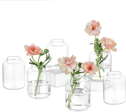 Hewory Mini Bud Vases Set of 6: Small Glass Vases for Flowers, Modern Clear Bud Vase Bulk for Wedding Centerpieces Baby Shower Parties Rehearsal Dinner Table Decorations