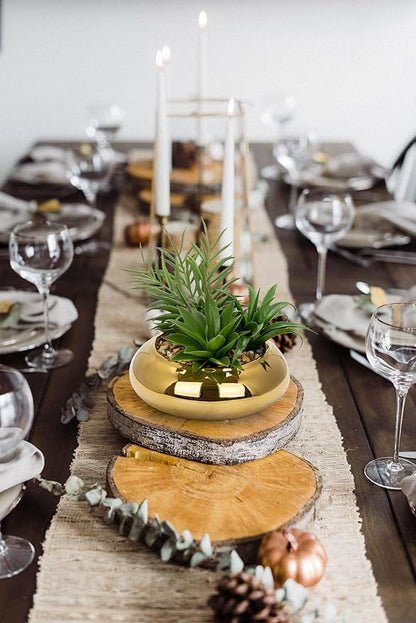 Hollyone Large Artificial Succulents Plants Faux Succulents with Gold Pots Fake Succulent Potted Plants in Ceramic Pot for Home Decor Office Desk Bathroom Living Room Indoor & Outdoor Decorations