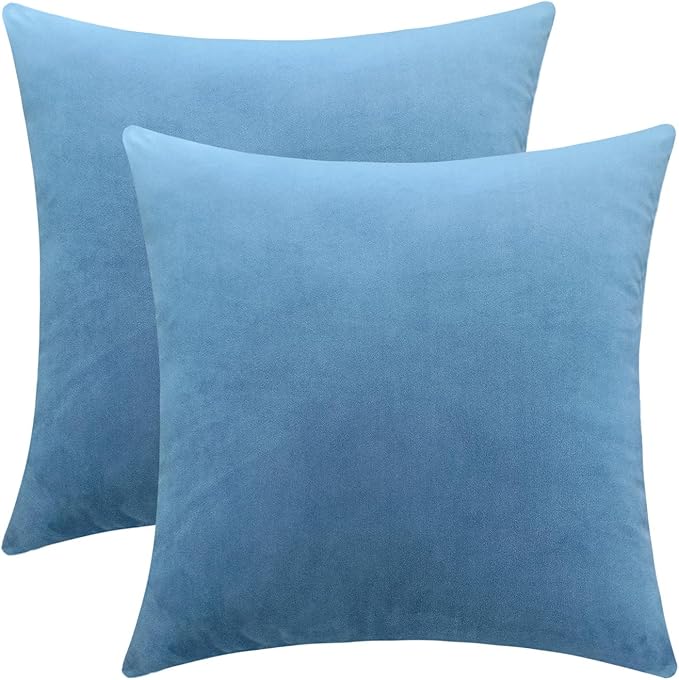 Jeneoo Set of 2 Decorative Throw Pillow Covers Soft Velvet Comfy Solid Couch Cushion Cases for Livingroom Bed Sofa Decor (Sky Blue, 18 x 18 Inches)