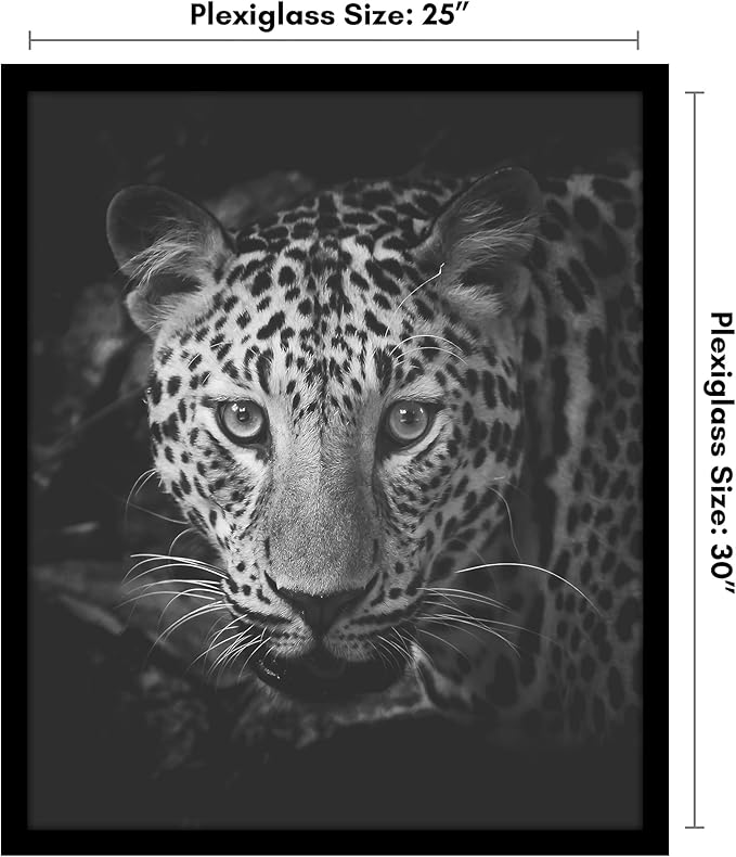 Americanflat 25x30 Picture Frame with Polished Plexiglass - Black Picture Frame - Wide Photo Frames Made of Engineered Wood for Vertical or Horizontal Wall Display - Epic Collection - Black