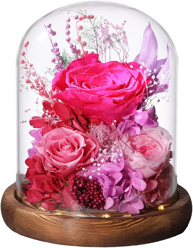 LOVENFOLD Flowers for Delivery Preserved Flowers with LED Light in a Glass Dome,Long Lasting Forever Roses Birthday Gifts for Women Daughter Mom Wife Friend（Reddish Rose）