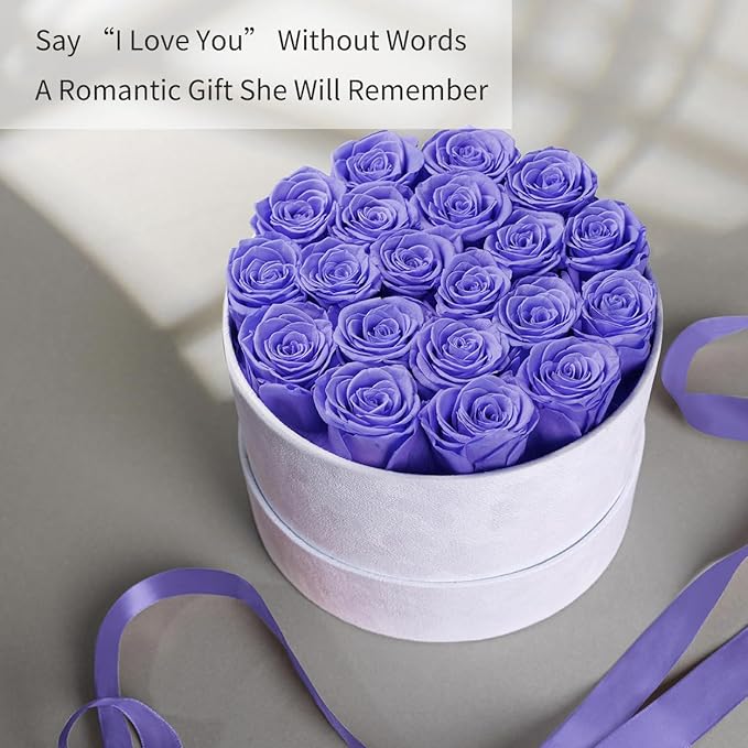 Gifts for Women Preserved Roses Flower Box, Luxury Velvet Box with 20 Roses, Preserved Flowers, Romantic Gift for Her, Wife, Girlfriend, Birthday Anniversary Christmas (Light Purple)