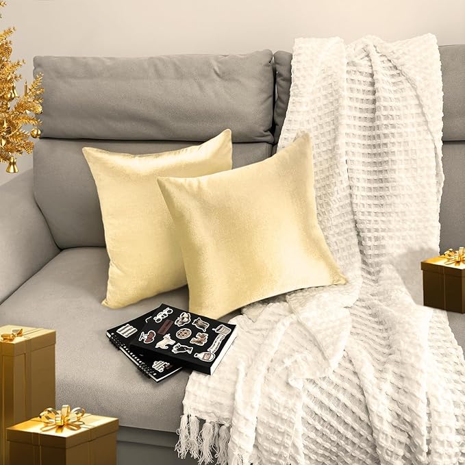 2 Pack 16x16 Pillow Cover Velvet Pillow Covers, Square Throw Pillow Covers for Living Room Decorations Throw Pillow Case, Throw Pillow Cover Cushion Cover for Home Sofa Bedroom Car, Champagne