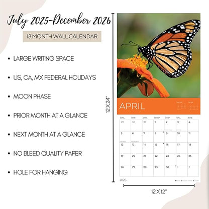 Butterflies Wall Calendar 2026 | 12" x 24" Open | Giftable Nature Calendar 2026 | Thick & Sturdy Paper for Organizing & Planning | Pacific Waters Press (Butterflies)