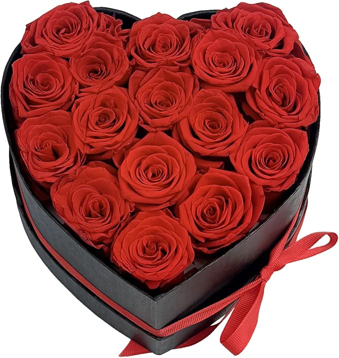 Preserved Roses Heart Shape Box Valentines Day Gifts for Her Mothers Day Forever Flowers (Red, 16 Roses)