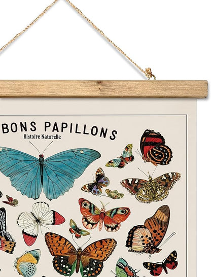 XIAOAIKA Vintage Butterfly Species Poster - Illustrated Educational Chart with Wooden Frame - Entomology Wall Art for Nature Lovers, Classrooms, and Home Decor 20 x 30 Inches